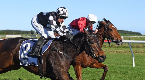 Premiership race not a priority for Allpress