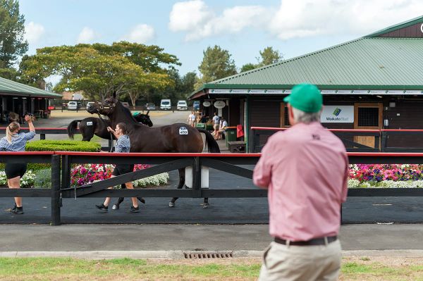Entries Open for Karaka 2023
