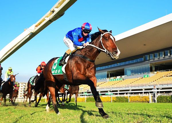 El Vencedor signs off in style