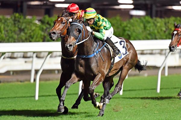 Highly-rated Green Luck makes NZ debut