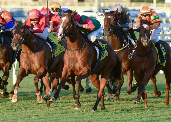 Juan Diva caps momentous season for Taylor family