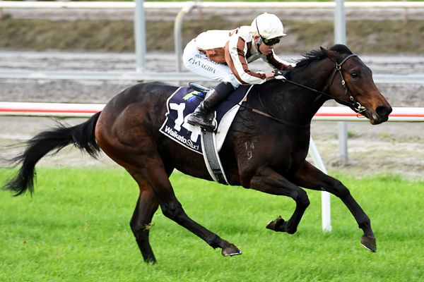 Legarto impresses on debut