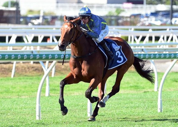 Banker cashes in on Tattersall's Cup