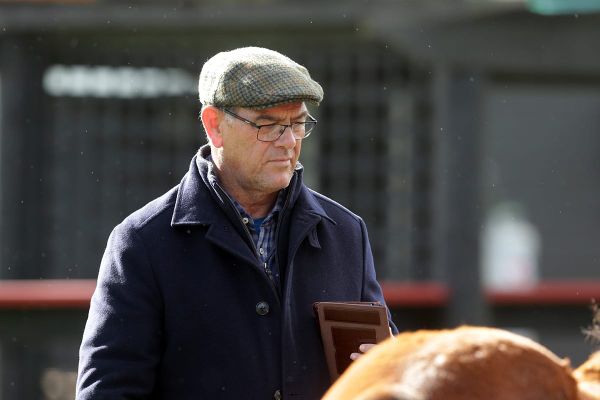 Moroney happy to be back at Karaka
