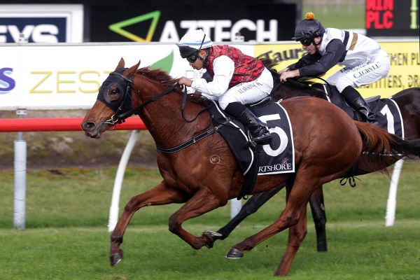 Musigny Lass narrowly avoids disaster in Tauranga victory