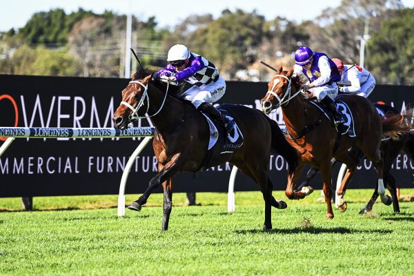 Waller unleashes promising colt at Rosehill