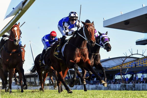 Kiwi imports bearing fruit for Australian Bloodstock