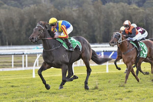 Bright future tipped for Po Kare Kare