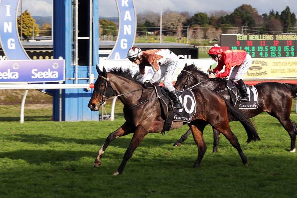 Sanibel upsets in Tauranga feature