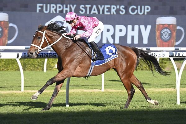 Shameless win by Miss in Stayer’s Cup