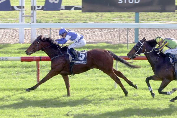 Rogerson produces winning double at Ruakaka