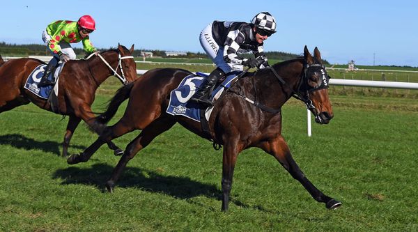 Sophmaze all class in Castletown Stakes