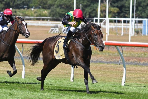 Brisbane swansong for The Chosen One before stud duties