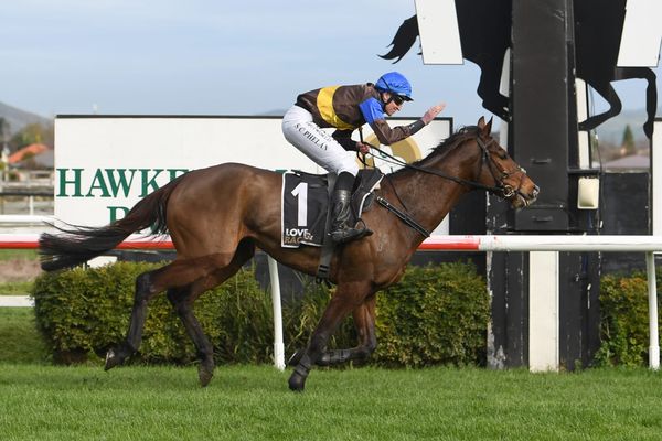 Local trainers dominate Hastings card