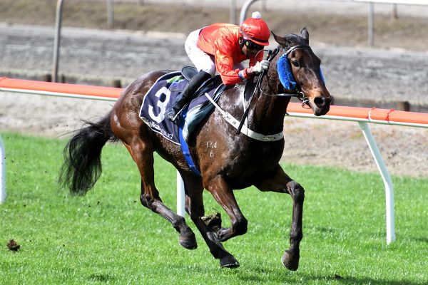 Bergerson trio on song for Trentham