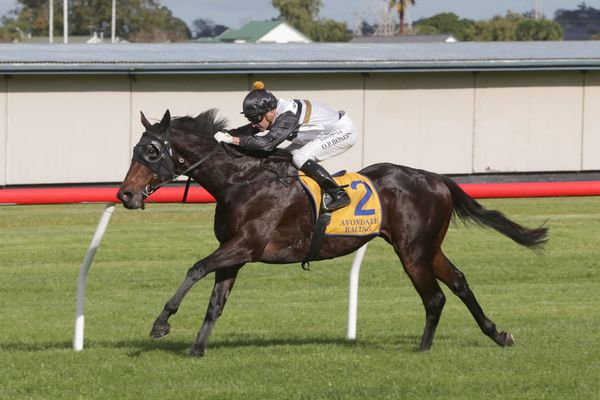 Forsman holding winter ace