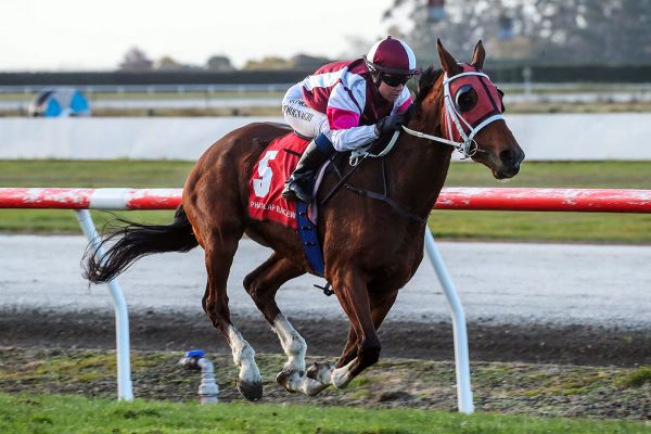 Stewart defends Waimate Cup title on eve of 90th birthday