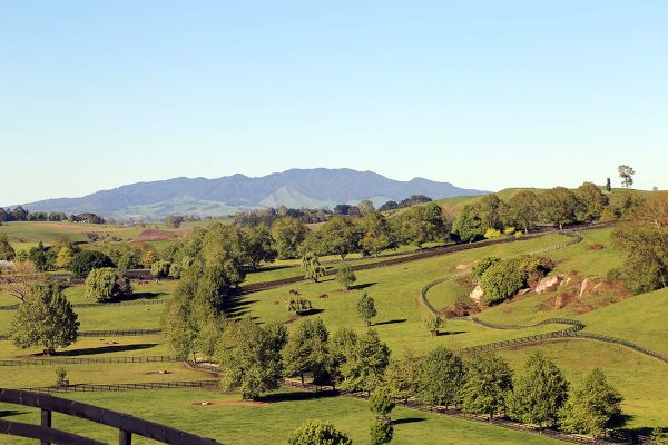 Gavelhouse Plus to host Valachi Downs Dispersal