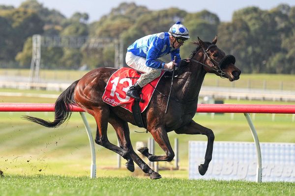 Wrote To Arataki scores at Sandown