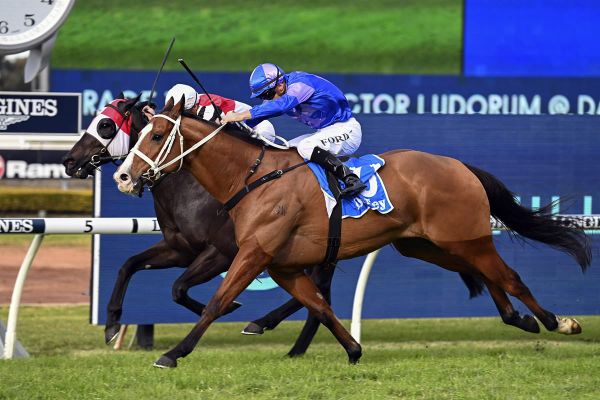 Bold Sydney debut for Kiwi galloper