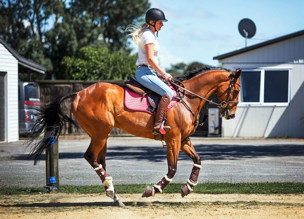 Casey Locks in training return