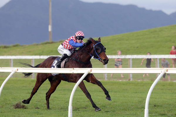 Newman brings up century of wins with Ruakaka double