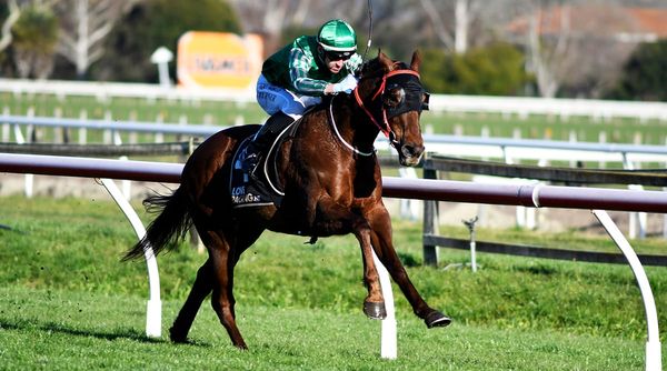 Innes trio primed for Hastings