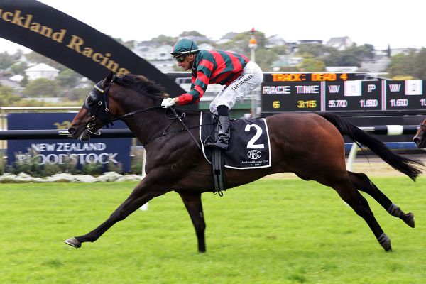 Multiple Group winner progressing well