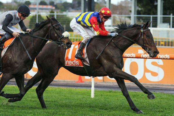 Back-to-back wins for Duke Of Hastings