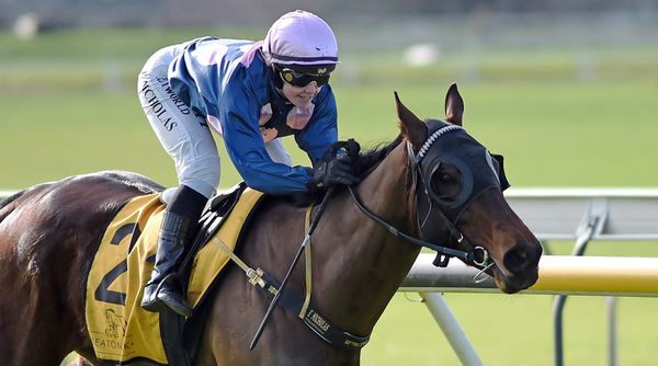 Establishment going from strength to strength for Thurlow