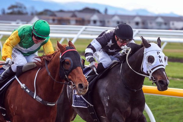 Harris hoping Luck goes his way at Riccarton