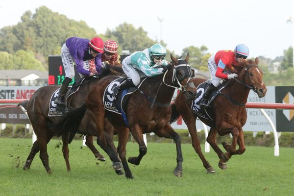 <strong>Jumping future looms for Indeem</strong>