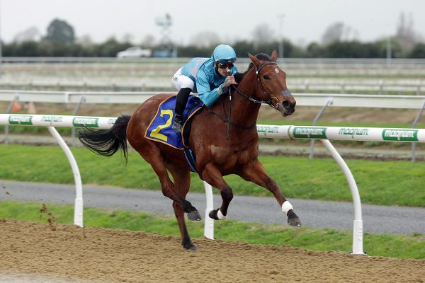 Harris makes winning return