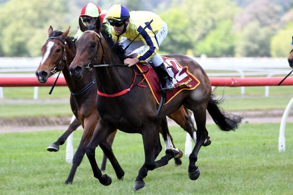 Australia beckons smart Karman Line