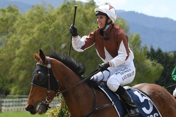 Hastings double for Hercock