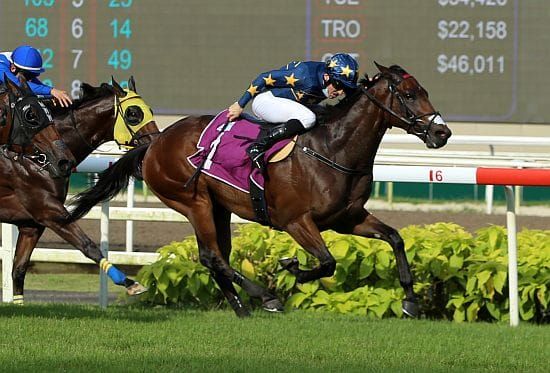 Lim’s Kosciuszko scales Singapore Derby