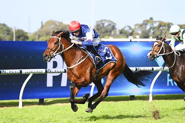 Kiwi-breds contribute to Waller’s big day