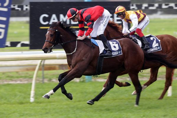 Magneto scores emotional win for connections