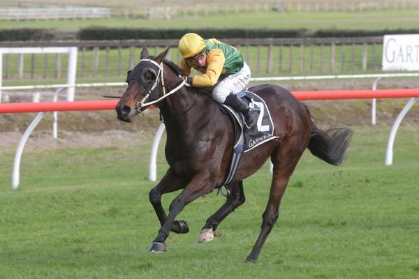 Liefting chasing turnaround in Cup fortunes