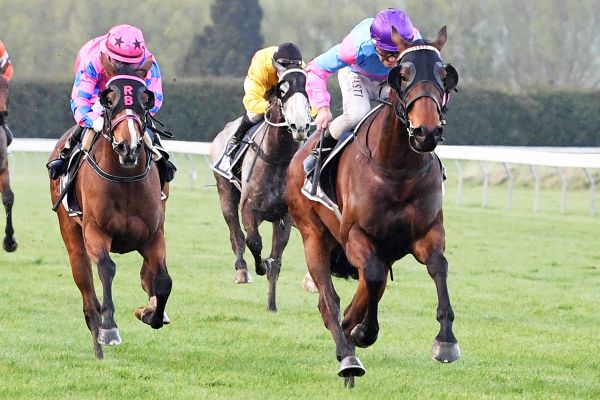 Weight the only concern with Nedwin