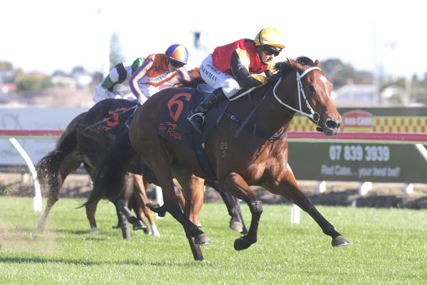 Sires a fey drawcard in 2022 National Broodmare Sale