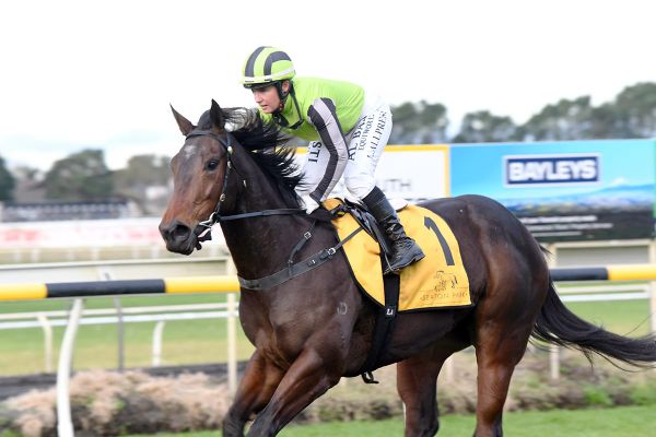 Stallone makes peace with trainer after second victory