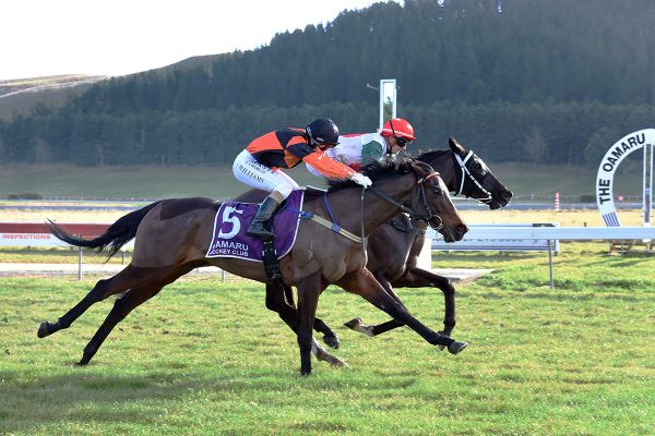 Italian Derby winner lands Oamaru Cup for Marsh
