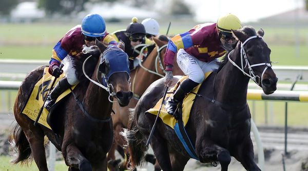 Wheeler produces local quinella