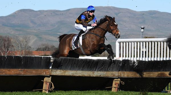 Fabulous four for Nelson and McDougal