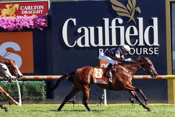 Tofane on track for Memsie