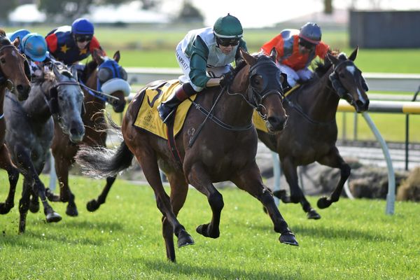 Turnmeon latest winner for potent combination