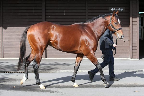 Vespa and Savile Row to Mapperley Stud