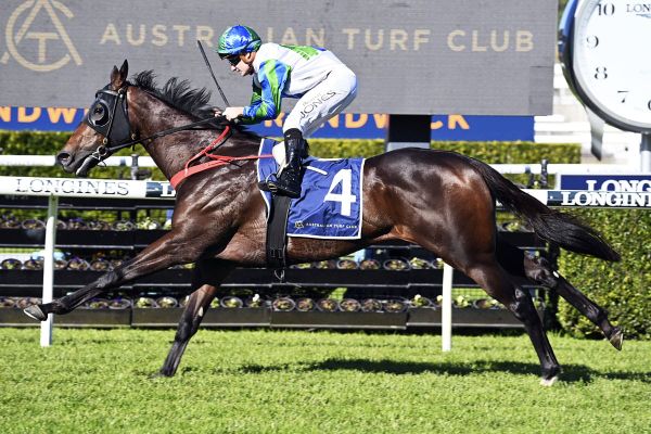 Waihaha Falls looking for hat-trick at Randwick