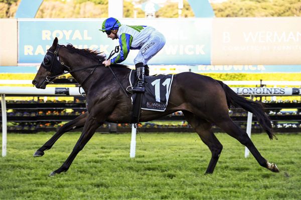Waihaha Falls stars in Randwick runaway